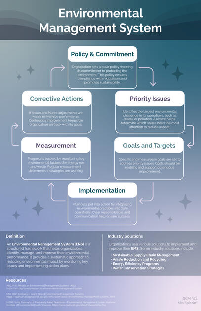 Infographic